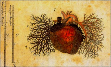 20 Jahre starkes Engagement, das zu Herzen geht!