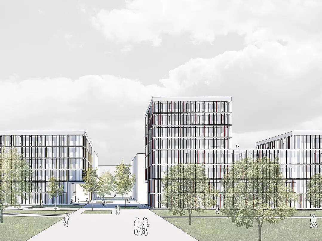 Medizinische Fakultät - Forschung 