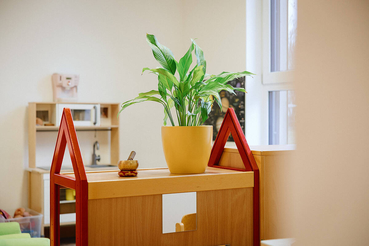 Pflanze im Gruppenraum des Kindergartens